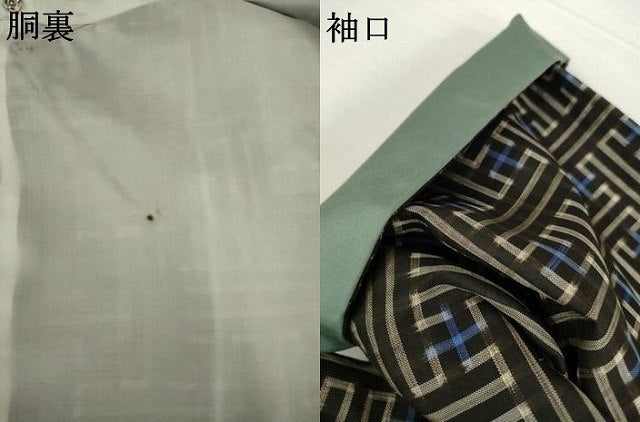 平和屋着物●本場大島紬 龍郷絣 秋名バラ 正絹 逸品 AABG4001ck