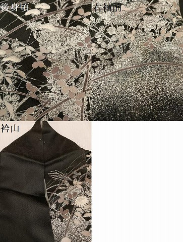 平和屋着物●訪問着 草花文 たたき染め 黒地 正絹 逸品 AABG4084ph