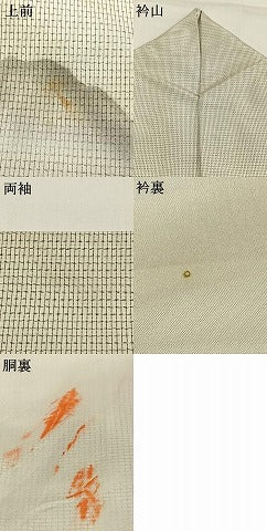平和屋着物●訪問着 本場大島紬 白大島 作家物 手描き 風景文 金彩 正絹 逸品 AABG4382fy