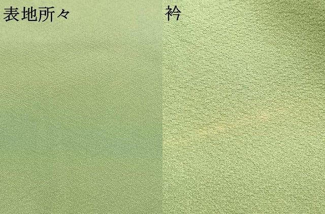 平和屋着物●上質な色無地 作家物 幻の染 岩石染 若菜色 正絹 逸品 AABG4477fy