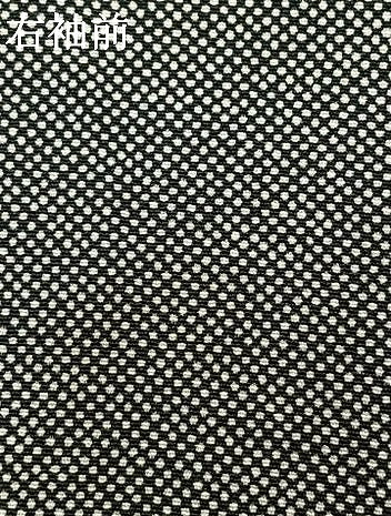 平和屋着物●訪問着 江戸小紋 総刺繍 枝葉文 銀糸 正絹 逸品 AABG4663fy