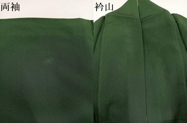 平和屋着物●豪華振袖 草花文 金彩 正絹 逸品 AABG4842ph