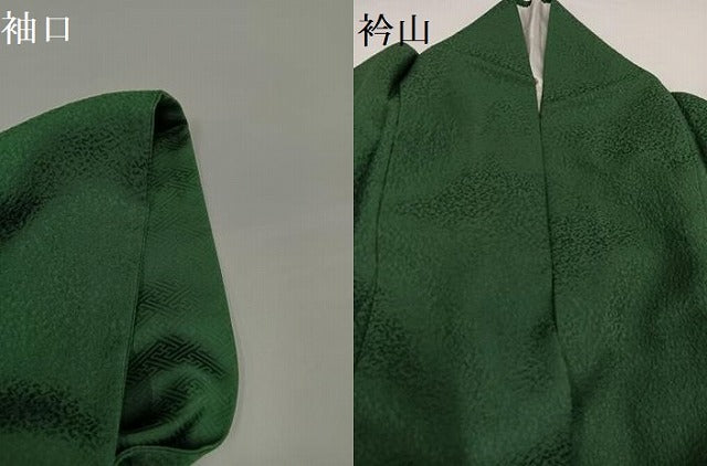 平和屋着物●上質な色無地 老竹色 ますいわ屋扱い 正絹 逸品 AABG4846ph