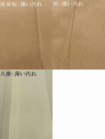平和屋着物■色留訪問着 枝花文 正絹 逸品 AABG5188oa