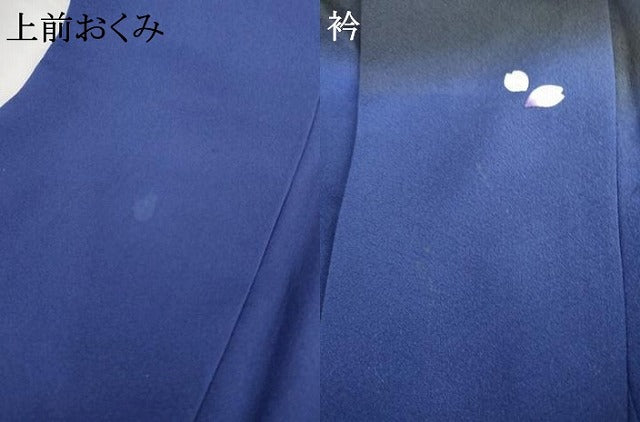 平和屋着物●訪問着 作家物 手描き 枝花文 さくらんぼ 暈し染め 金彩 ロング丈 正絹 逸品 AABG5299cs