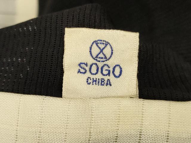 平和屋着物*夏物 訪問着 絽 友禅 南天文 そごう百貨店扱い 正絹 逸品 AABG5448jd