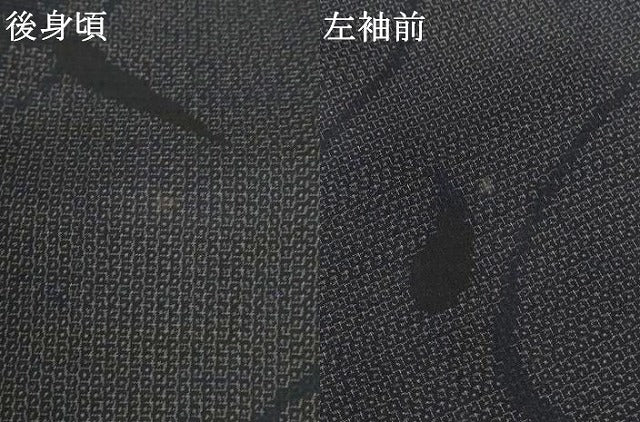 平和屋着物*夏物 本塩沢 夏塩沢 110亀甲 成り物 正絹 逸品 未使用 AABG5588jd