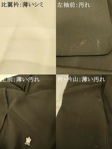 平和屋着物■豪華黒留袖 作家物 手描き 寿光織 風景文 暈し染め 金彩 正絹 逸品 AABG6039fw