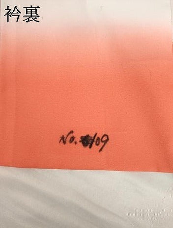 平和屋着物●小振袖 二尺袖 舞花文 暈し染め 銀彩 AABG6667cs