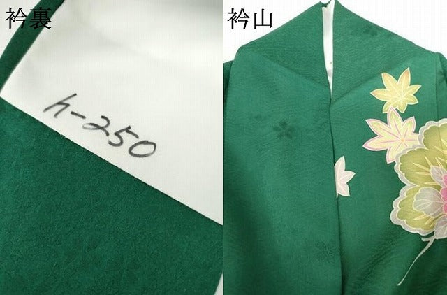 平和屋着物●訪問着 蔓帯花松文 暈し染め 正絹 逸品 AABG6711cs