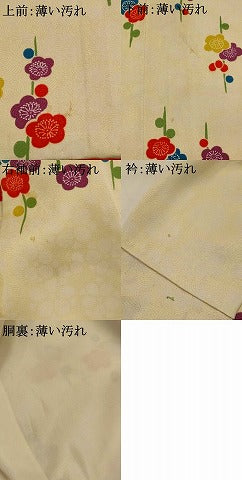 平和屋着物■上質な小紋 枝梅文 正絹 逸品 AABG6806st