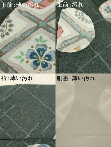 平和屋着物■小紋 花蝶丸文 金彩 洗える着物 AABG6914st