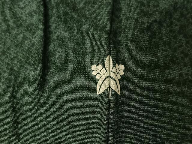 平和屋着物▽訪問着 単衣 流水杜若文 金彩 正絹 逸品 AABG7051jh