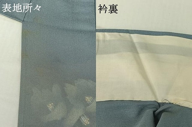 平和屋着物▽訪問着 単衣 手描き 草花文 暈し染め 正絹 逸品 AABG7079jh