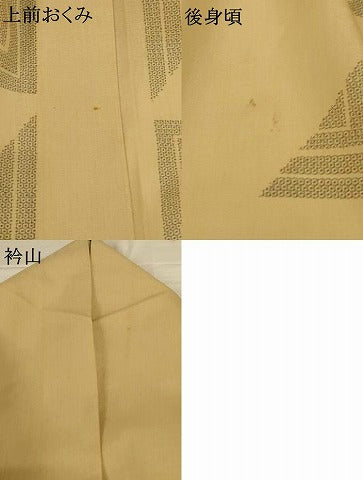 平和屋着物*夏物 結城紬 夏結城 100亀甲 幾何学文様 正絹 逸品 AABG7407jd