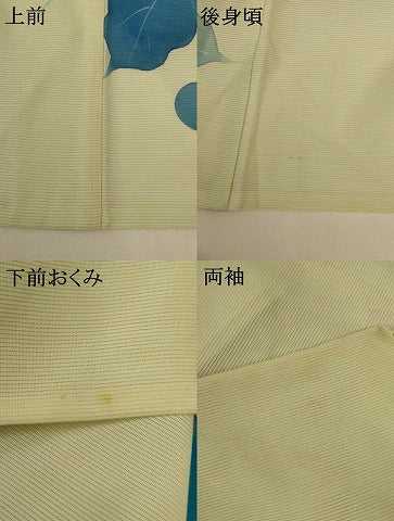 平和屋着物*夏物 訪問着 絽 草花文 大丸扱い 正絹 逸品 AABG7443jd
