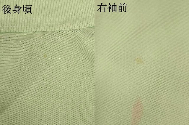平和屋着物*夏物 訪問着 絽 手描き 草花文 暈し染め 正絹 逸品 未使用 AABG7519jd