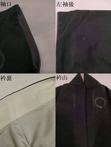 平和屋着物●お召 丸文 正絹 逸品 AABG7586ph