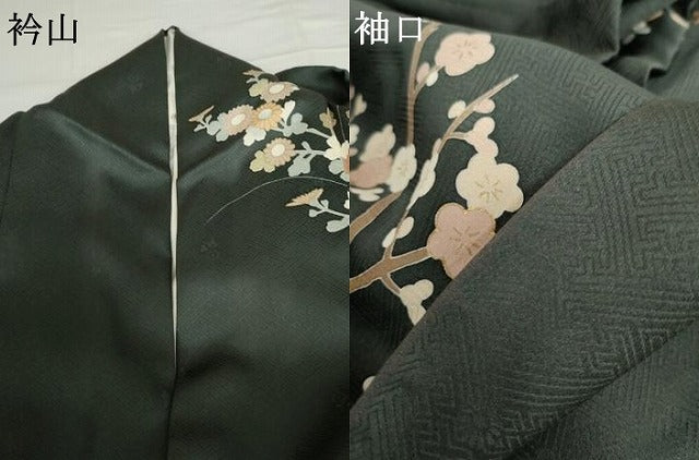 平和屋着物●訪問着 駒刺繍 雲取り枝花文 金彩 正絹 逸品 AABG8040cs