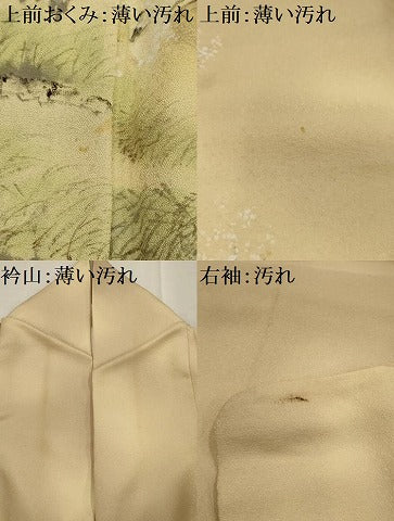平和屋着物■訪問着 作家物 手描き 風景文 暈し染め 金彩 正絹 逸品 AABG8390sx