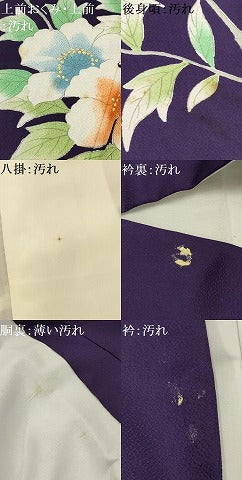 平和屋着物■訪問着 枝花文 金彩 正絹 逸品 AABG8391sx