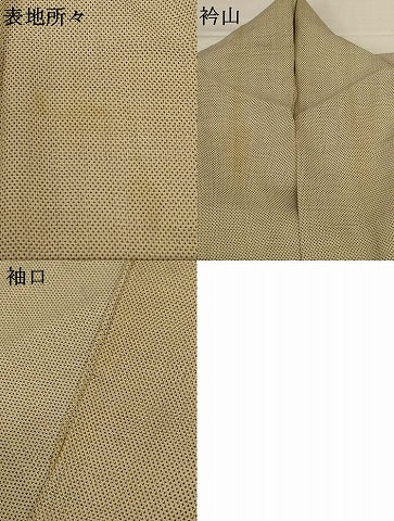 平和屋着物*夏物 本塩沢 夏塩沢 蚊絣 正絹 逸品 AABG9093jd