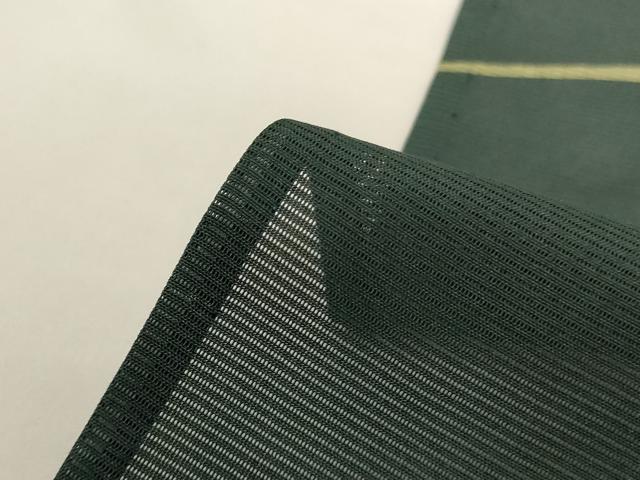 平和屋着物*夏物 訪問着 絽 朝顔 暈し染め ロング丈 正絹 逸品 AABG9123jd
