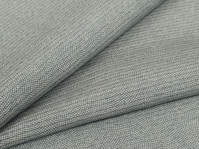 平和屋着物*夏物 江戸小紋 絽 鮫小紋柄 正絹 逸品 AABG9124jd