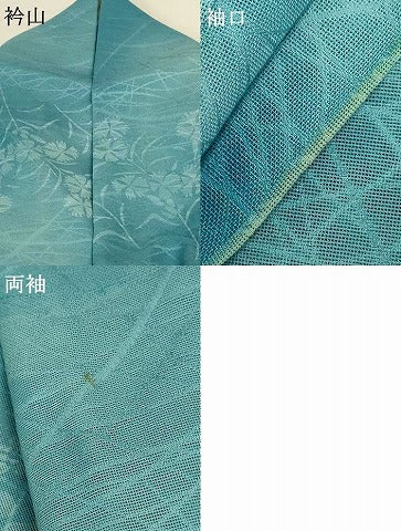平和屋着物*夏物 小紋 紗 草花文 暈し染め 正絹 逸品 AABG9126jd