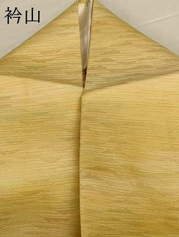 平和屋着物*夏物 小紋 変わり絽 霞文 正絹 逸品 AABG9136jd