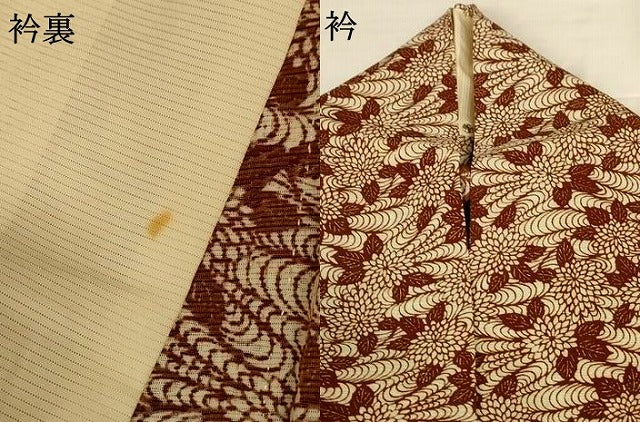 平和屋着物*夏物 小紋 絽 菊 正絹 逸品 AABG9179jd