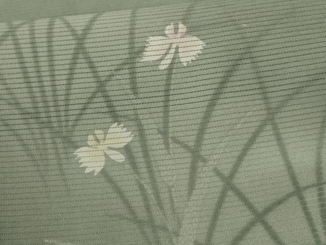 平和屋着物*夏物 小紋 絽 草花文 暈し染め 洗える着物 AABG9197jd