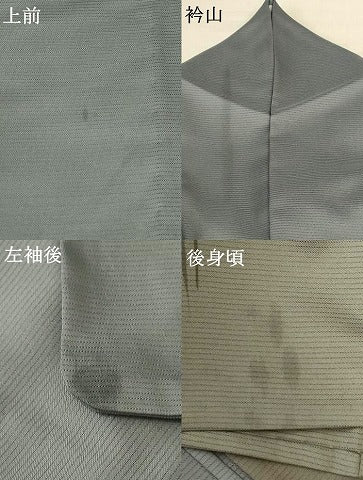 平和屋着物*夏物 訪問着 絽 草花文 暈し染め 洗える着物 AABG9220jd