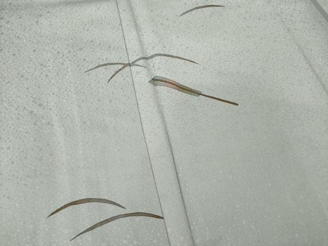 平和屋着物▽訪問着 単衣 芝 扇子 正絹 逸品 AABG9266ck