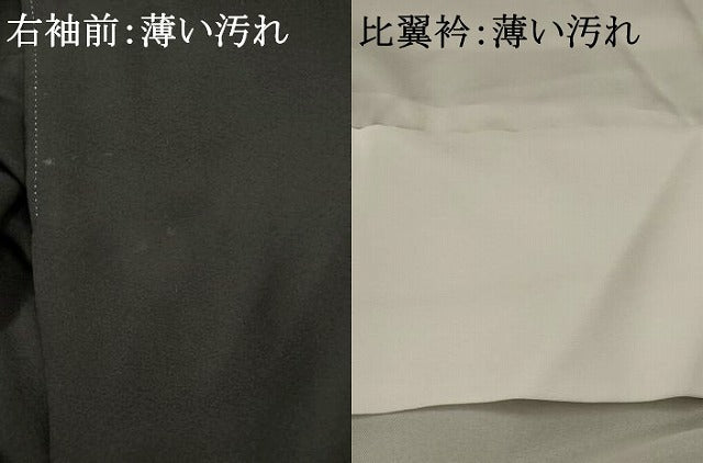 平和屋着物■豪華黒留袖 友禅 作家物 風景文 暈し染め 正絹 逸品 AABG9484st
