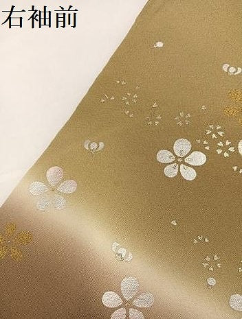 平和屋着物●訪問着 駒刺繍 草花文 暈し染め 金銀彩 正絹 逸品 AABG9521ph