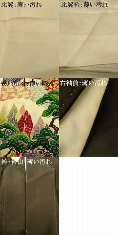 平和屋着物■豪華黒留袖 作家物 風景文 正絹 逸品 AABG9779fw