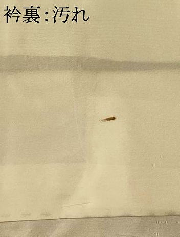 平和屋着物■上質な紬 霞文 正絹 逸品 AABG9836fw