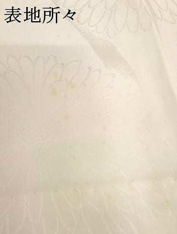 平和屋着物●長襦袢 無双仕立て 立涌舞花地紋 暈し染め 正絹 逸品 AABG9863cs