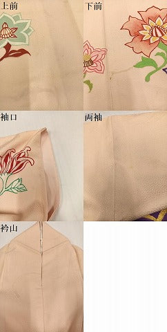 平和屋着物●訪問着 手描き 草花文 金彩 正絹 逸品 AABH0407ph