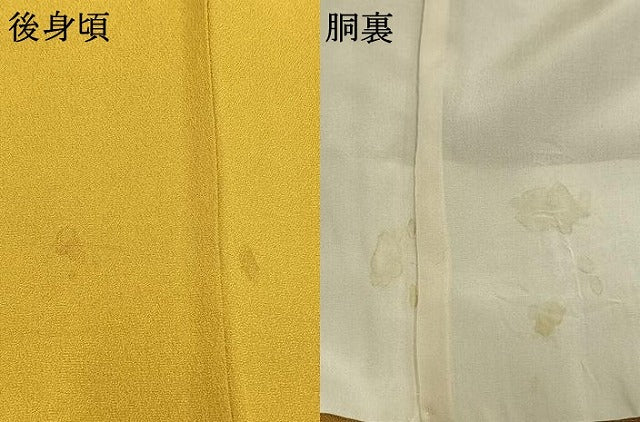 平和屋着物●豪華振袖 枝花文 金銀彩 正絹 逸品 AABH0497fy