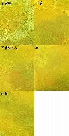 平和屋着物▼上質な小紋 地紋起こし 草花文 暈し染め 正絹 逸品 AABH0674fy