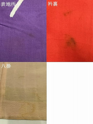 平和屋着物●銘仙 紬 アンティーク 大正ロマン 草花文 正絹 逸品 AABH0900fy