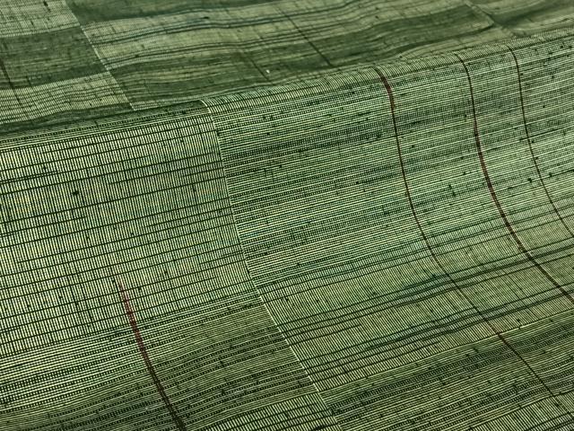 平和屋着物▽ており紬 単衣 横段文 反端付き 正絹 逸品 AABH2305jh