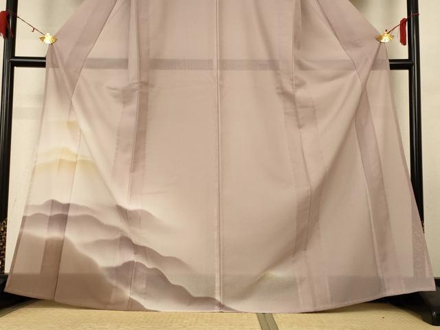 平和屋着物*夏物 訪問着 変わり絽 風景文 暈し染め 正絹 逸品 AABH2506jd