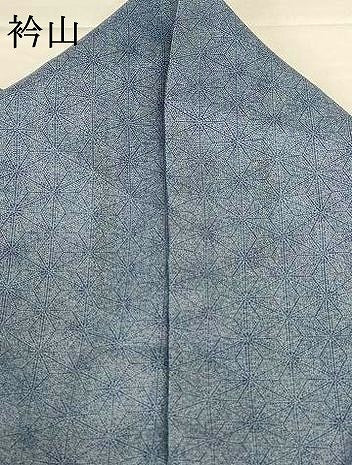 平和屋着物*夏物 江戸小紋 絽 麻の葉文様 洗える着物 AABH2538jd