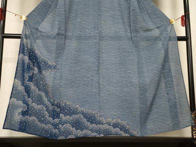 平和屋着物*夏物 訪問着 絽 雲取り舞花文 正絹 逸品 AABH2545jd