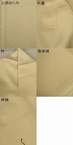 平和屋着物*夏物 訪問着 絽 手描き 草花文 正絹 逸品 AABH2551jd