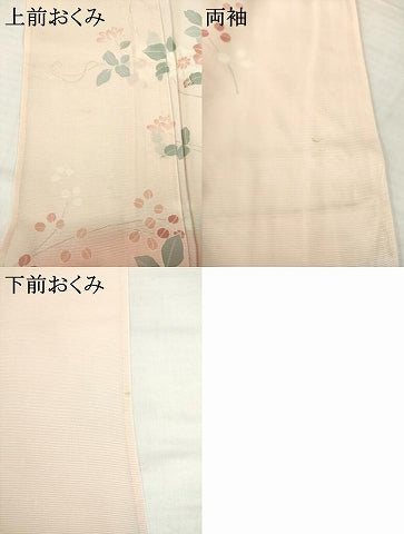 平和屋着物*夏物 訪問着 絽 友禅 草花文 暈し染め 正絹 逸品 AABH2565ck