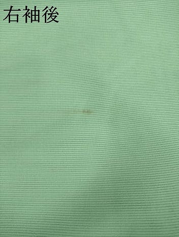 平和屋着物*夏物 訪問着 絽 立波花文 銀彩 正絹 逸品 未使用 AABH2567ck